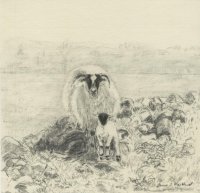 Ewe And Lamb - 2008 Charcoal