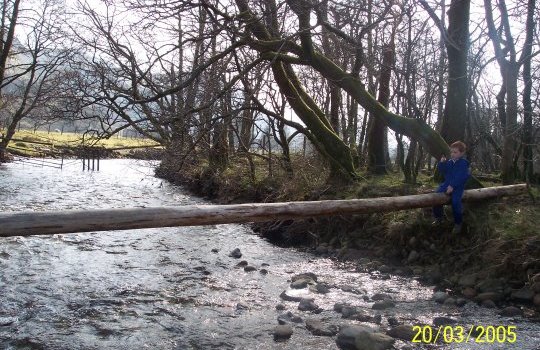April 05, Ruaraidh Iain on the recovered tree trunk