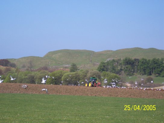 April 05, The ploughing