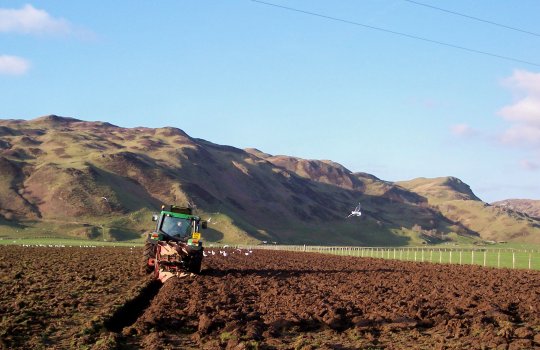 June 06, Ploughing the field